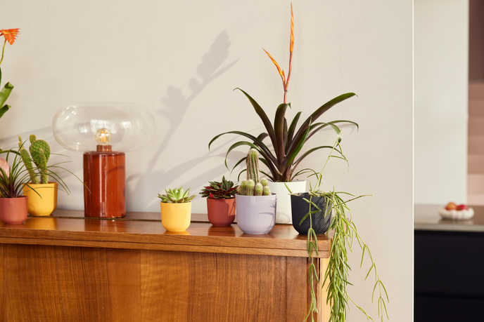 jazz rond mini 9cm living noir